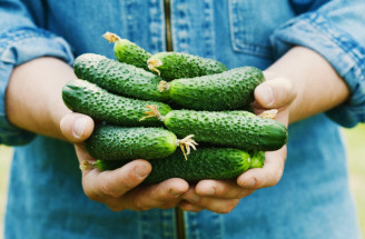 Pestovanie uhoriek v slame: Vyskúšajte tento spôsob a tešte sa na bohatú úrodu!